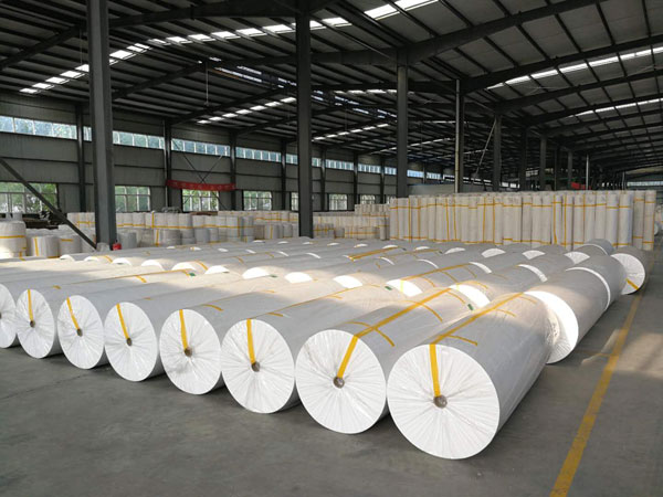 临桂狭缝式涤纶纺粘无纺布